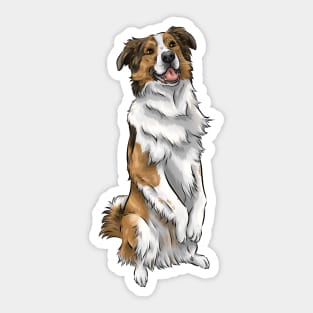 English Shepherd | Sable and White | Cute Dog Art Sticker